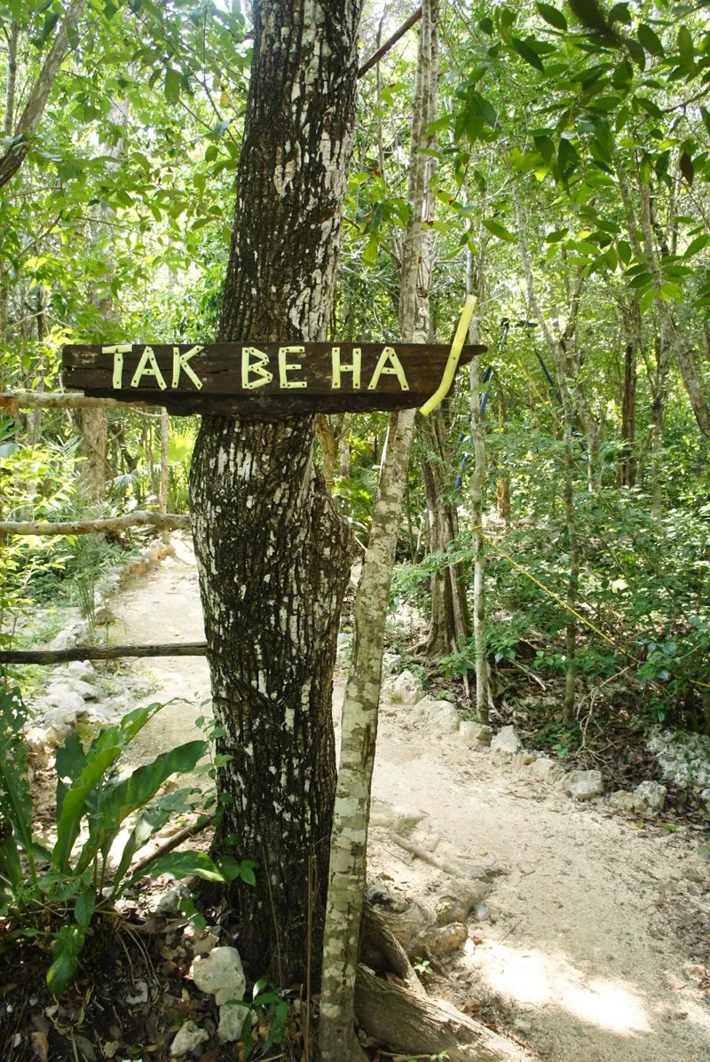 Wooden Tak Be Ha sign on a tree along the jungle trail to the cenote
