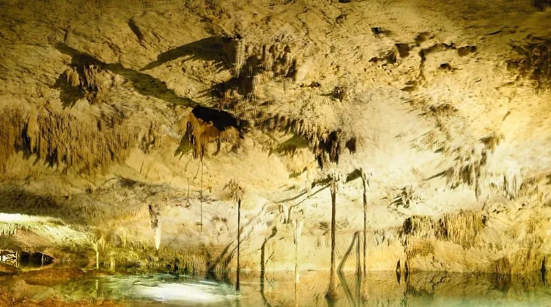 Stalactites and roots hanging from the ceiling of Cenote Taak Bi Ha
